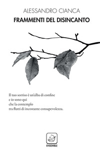 coverFrammenti del disincanto