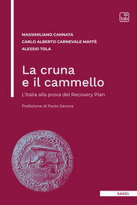 coverLa cruna e il cammello. L'Italia alla prova del Recovery Plan