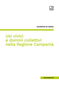 coverUsi civici e domini collettivi nella Regione Campania